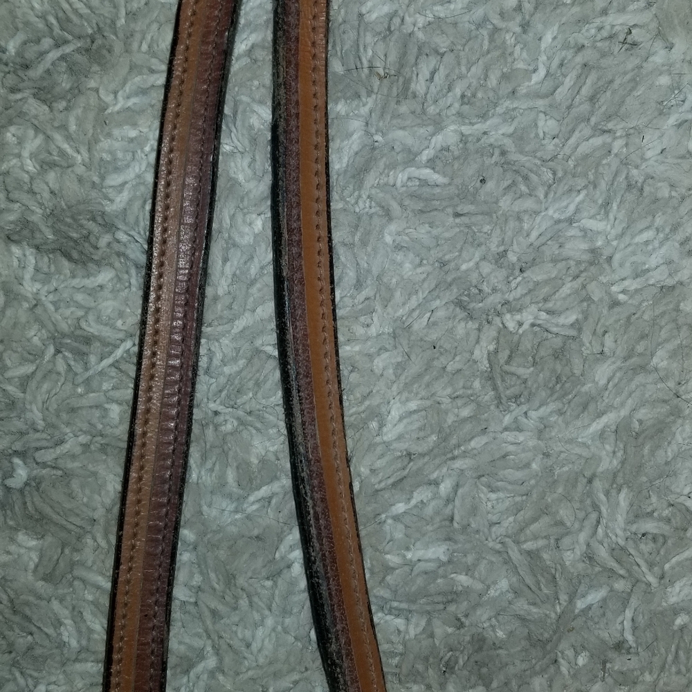 Reins - Picture 2 of 8
